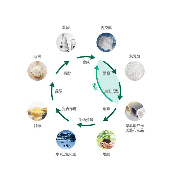生物降解纤维循环图.png