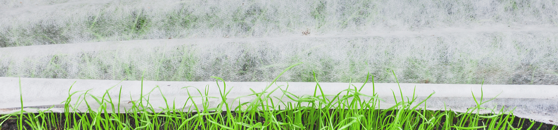 Agricultural products banner