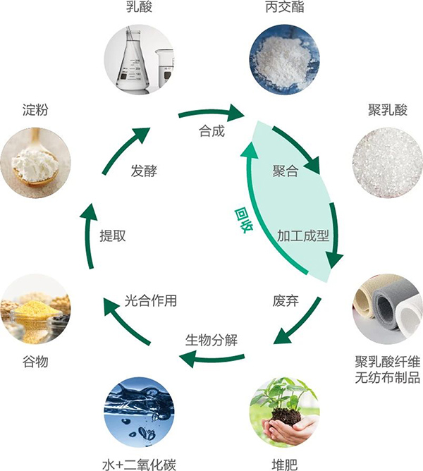 循环图