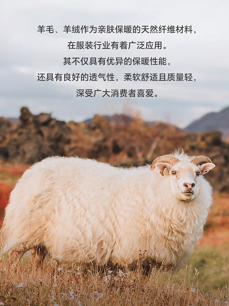 未标题-1.jpg