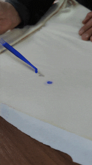测试