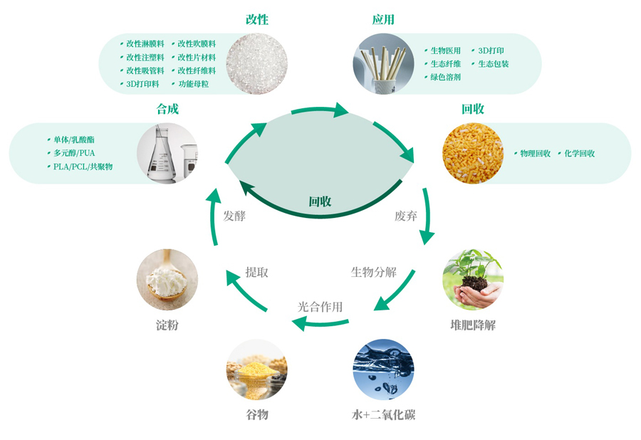 循环图