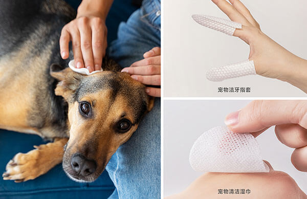 擦拭用品